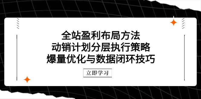 （14698期）整站赢利合理布局方式：促销方案分层次执行策略，爆量优化与数据闭环方法-观竹阁