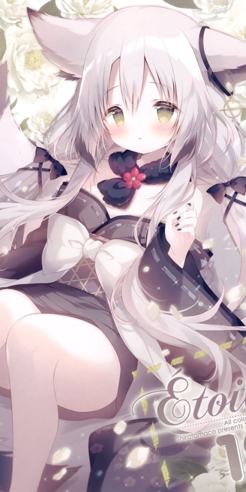 画师しらたま[しらたまこ]Étoile 12（Shiratama、白玉）画集图片包-忙忙软件库