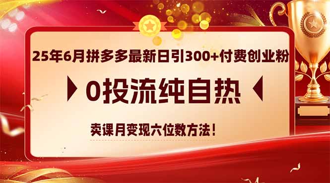 （14989期）25年6月拼多多最新日引300 付钱自主创业粉，0投流纯自然 购买课程月转现六位数方式-观竹阁