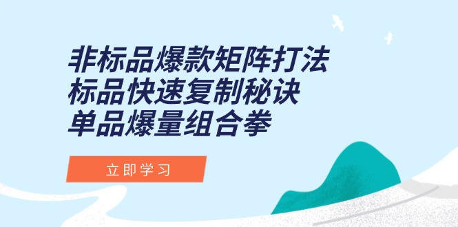 （15068期）非标品爆款矩阵打法，标品快速复制秘诀，单品爆量组合拳-观竹阁