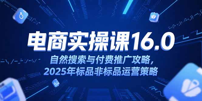 （15262期）淘宝电商运营课16.0，自然搜索与付费推广攻略，2025年标品非标品运营策略-观竹阁