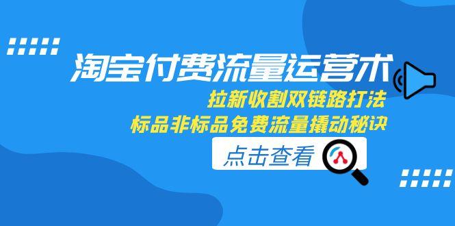 （15135期）淘宝付费流量运营术，拉新收割双链路打法，标品非标品免费流量撬动秘诀-观竹阁