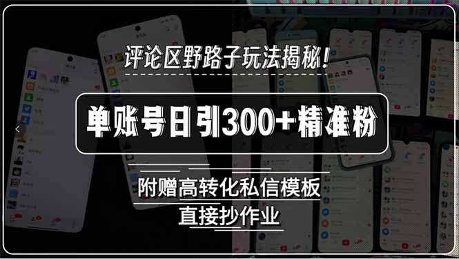 （15466期）评论区野路子玩法揭秘！单账号日引300+精准粉，附赠高转化私信模板，直…-观竹阁