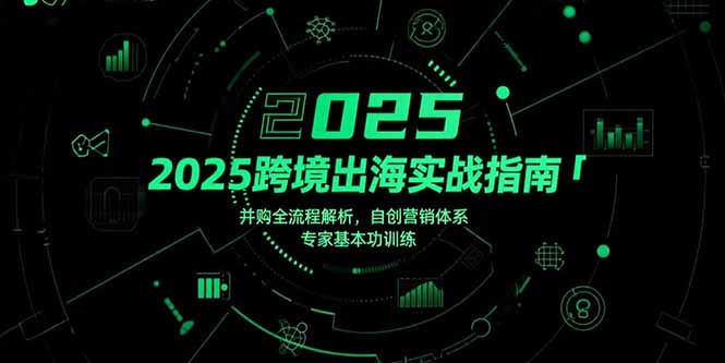 （15503期）2025跨境出海实战指南，并购全流程解析，自创营销体系，专家基本功训练-观竹阁