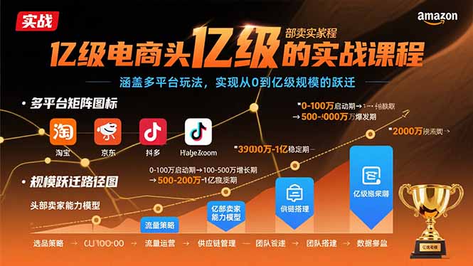 （15803期）亿级电商头部卖家的实战课程：涵盖多平台玩法，实现从0到亿级规模的跃迁-观竹阁