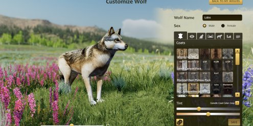 野狼谜踪：周年纪念版/WolfQuest: Anniversary Edition-忙忙软件库