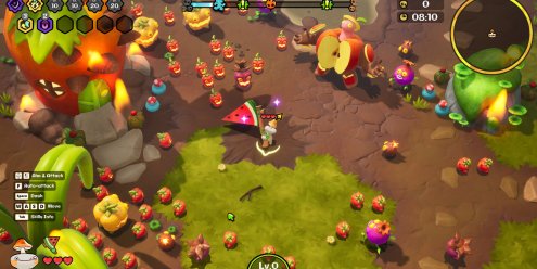 疯菇突围/Funguys Swarm-忙忙软件库