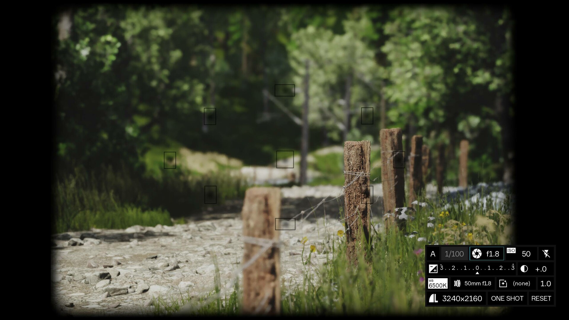 图片[4]-模拟美景摄影/Lushfoil Photography Sim-忙忙软件库