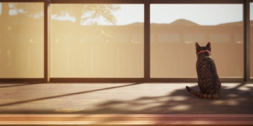 猫还在逃吗？/Still It Runs-忙忙软件库