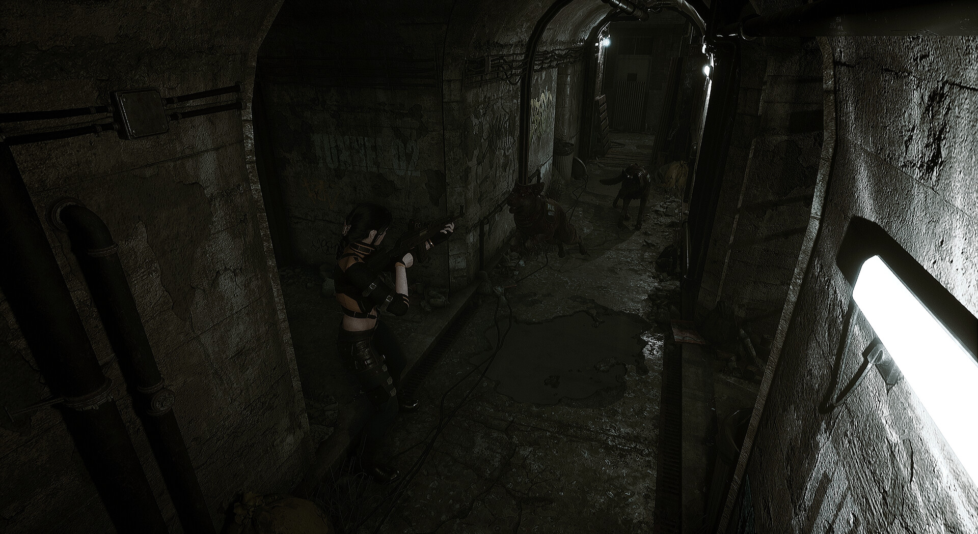 图片[6]-生者回响/Echoes of the Living-忙忙软件库