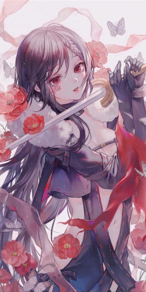 fate/FGO系列角色虞美人图集原画插画P站同人图片素材-忙忙软件库