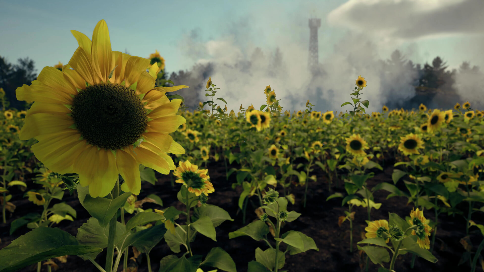 图片[2]-来自头顶的死亡/Death From Above-忙忙软件库