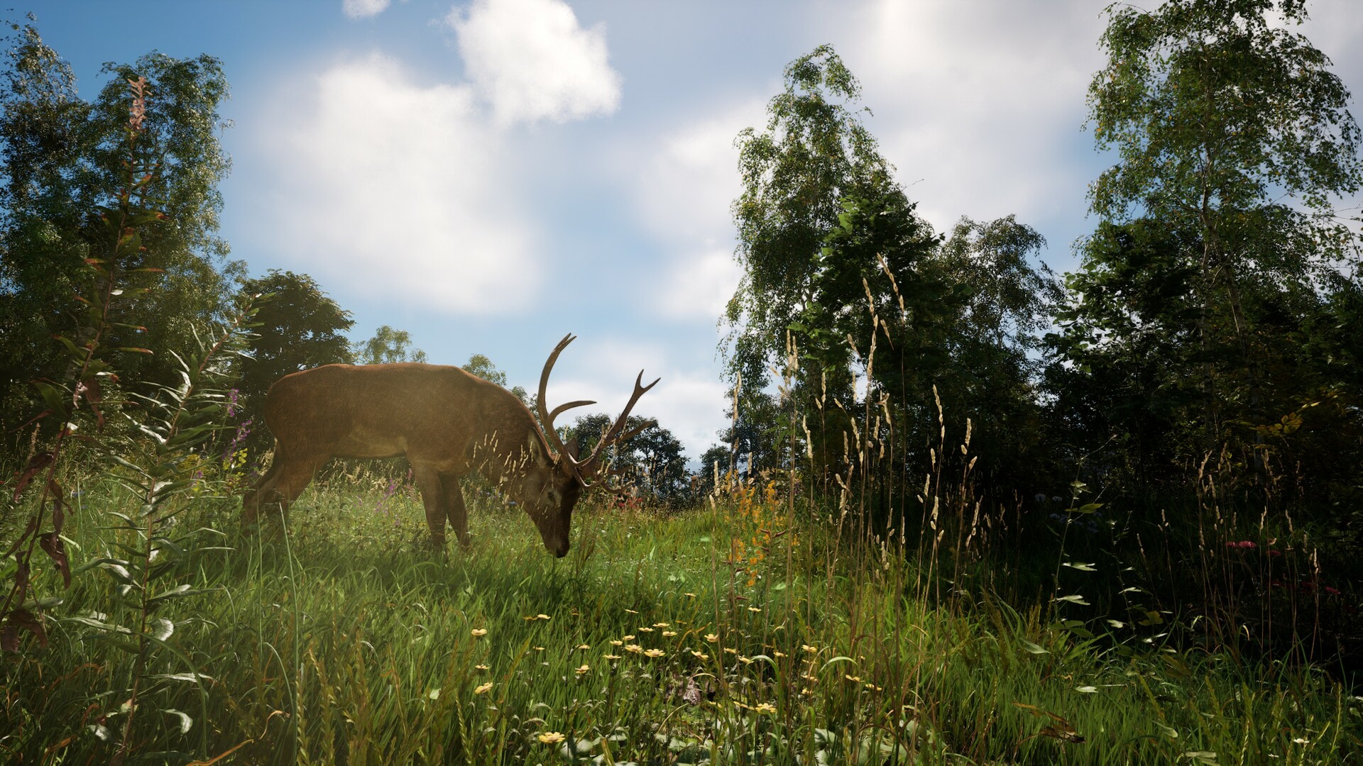 图片[4]-恐惧地带/DREADZONE|官方简体中文|支持键盘.鼠标-忙忙软件库