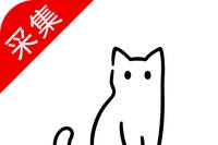 猫影视win7额外所需文件-忙忙软件库