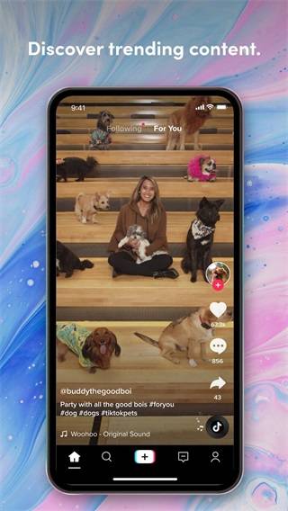 图片[2]-TikTok v33.7.4解锁高级版_.apk-忙忙软件库